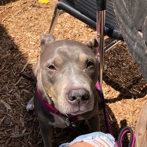 Meet your Posher, Marissa